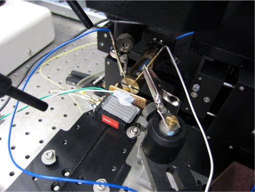 WECSL array control setup.
